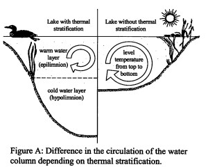 figure3a(2012report)